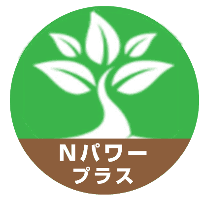 Nパワープラス